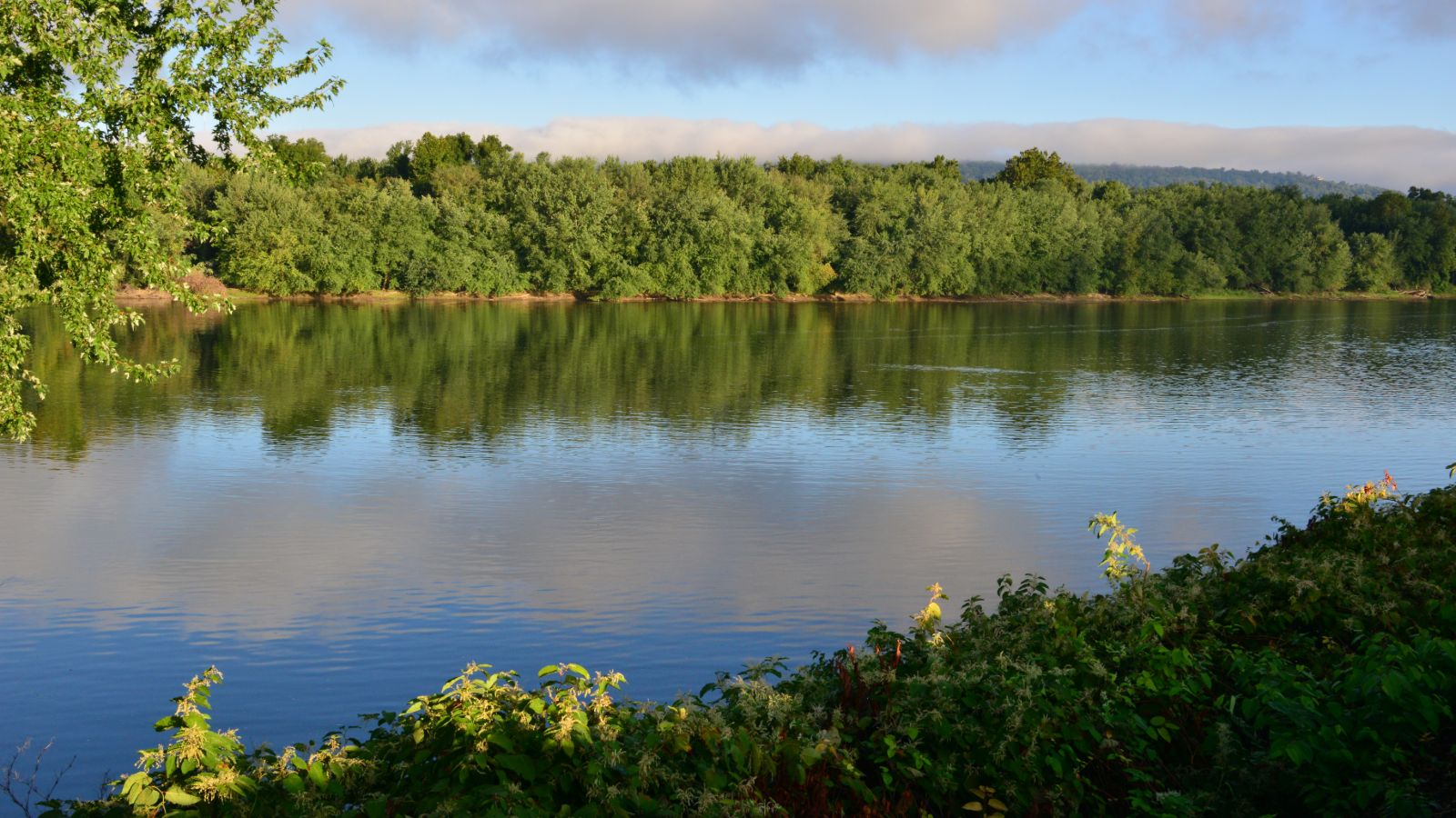 Find rehabs that accept carelon behavioral health insurance in pennsylvania