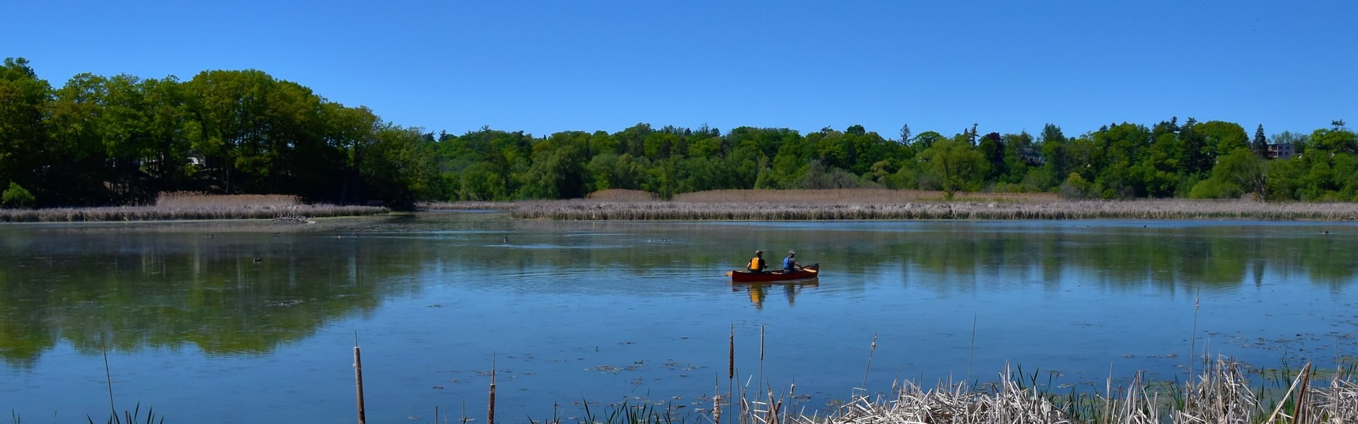 7 Best Drug & Alcohol Rehab Centers in Baton Rouge