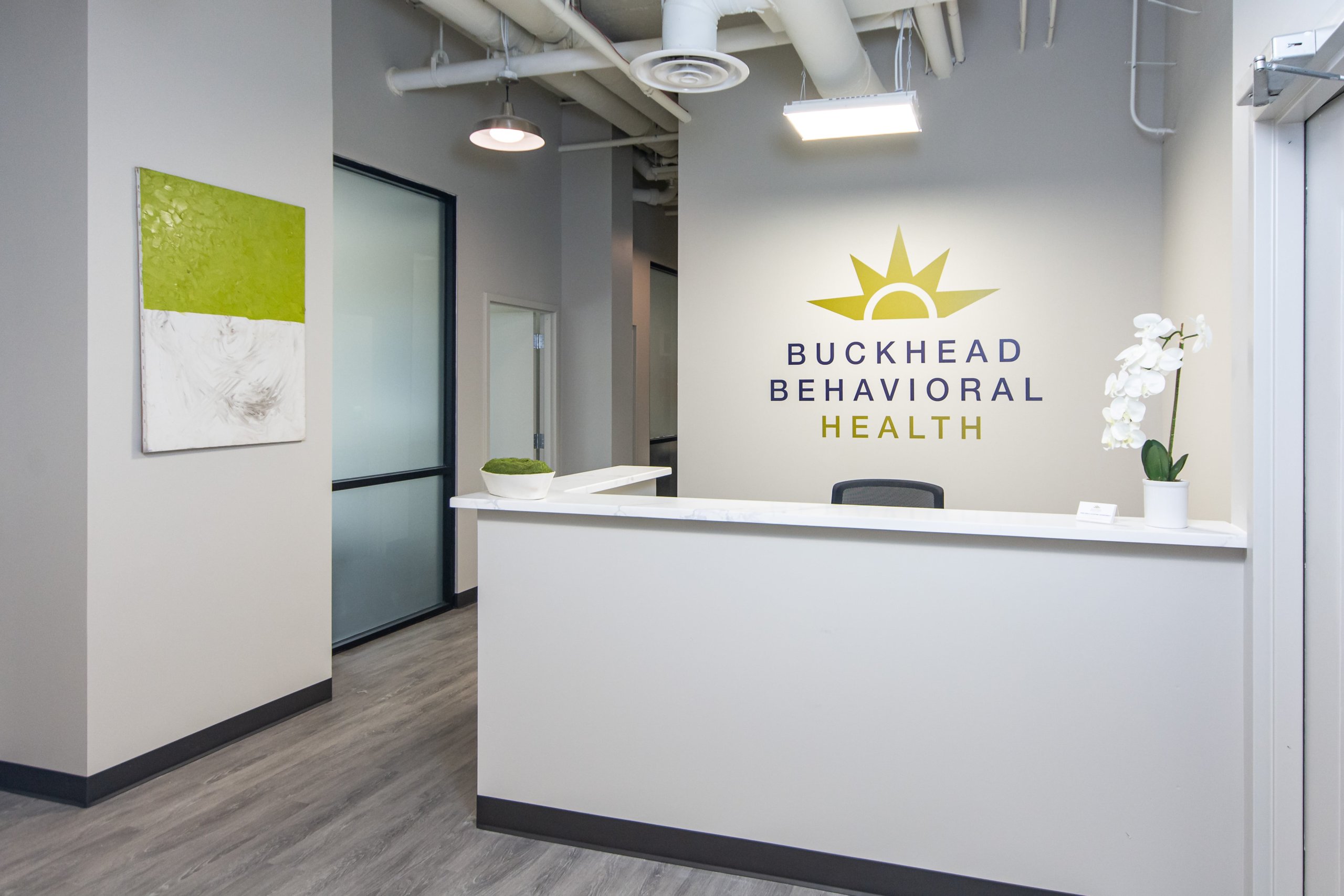 Buckhead Behavioral Health facility