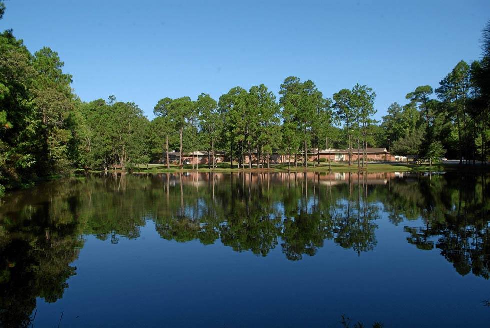 The Pines at Willingway facility photo 4