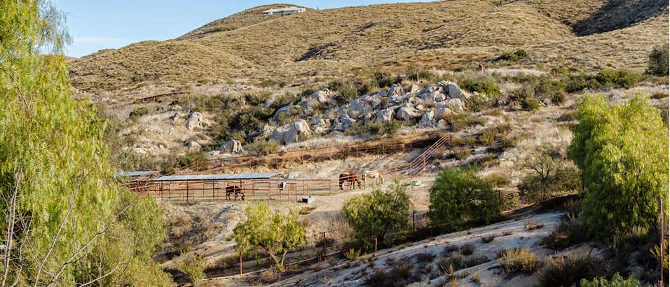 Rancho Milagro Recovery facility photo 4