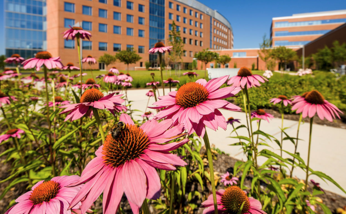 Princeton Center for Eating Disorders facility photo 2