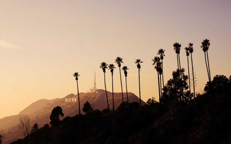 Studio 64 Recovery: Verified Pricing, Reviews & Testimonials (Burbank ...