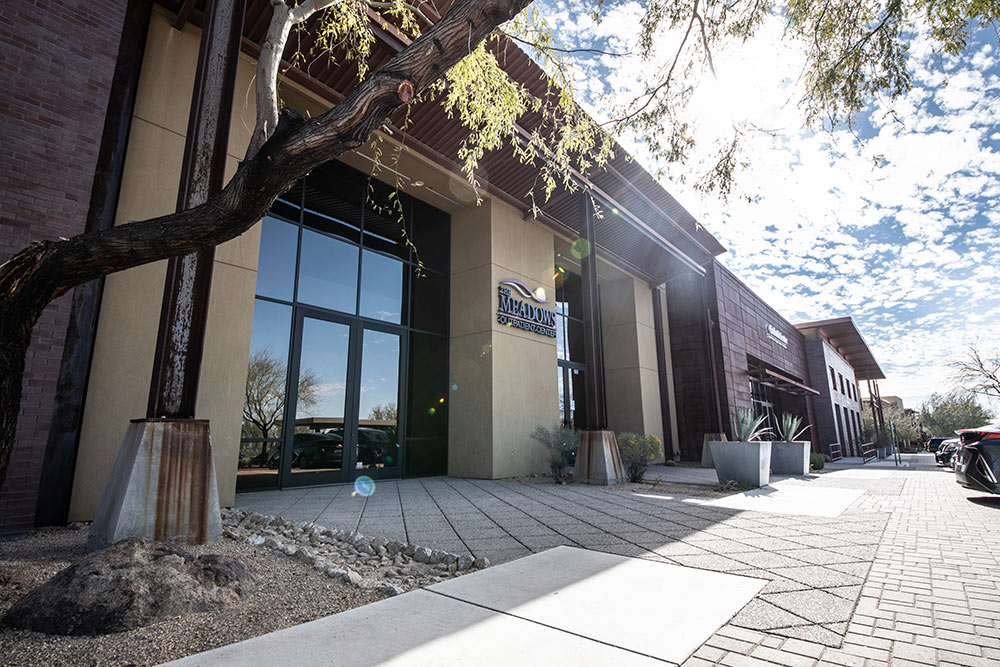 The Meadows Outpatient Scottsdale Treatment Options, Amenities