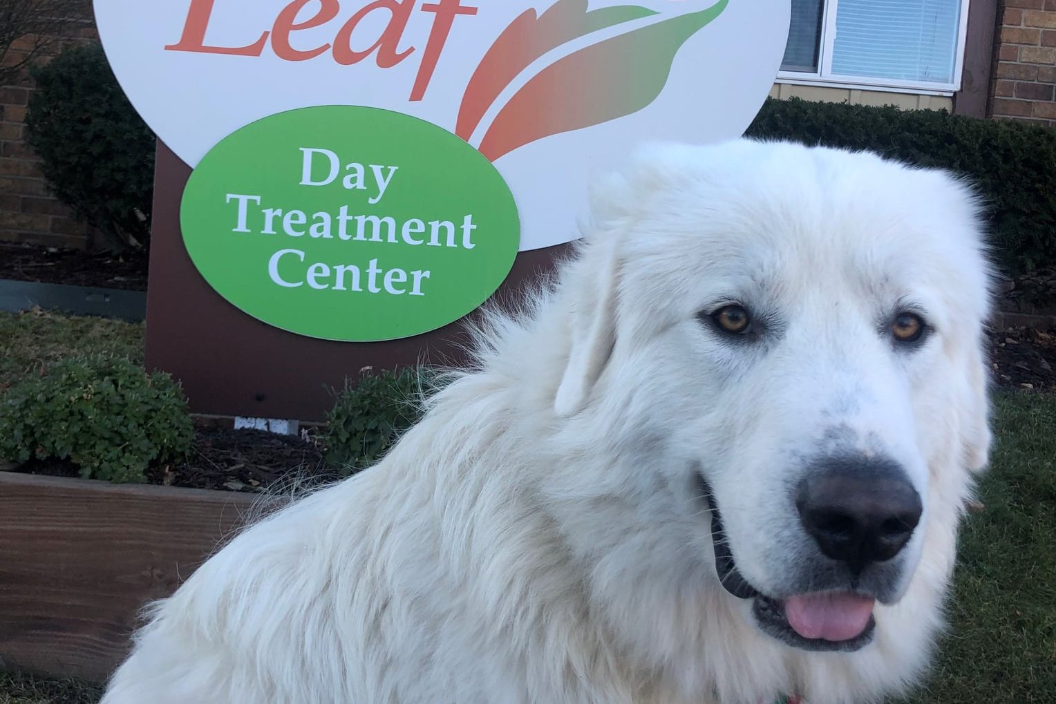 Turning Leaf facility photo 4