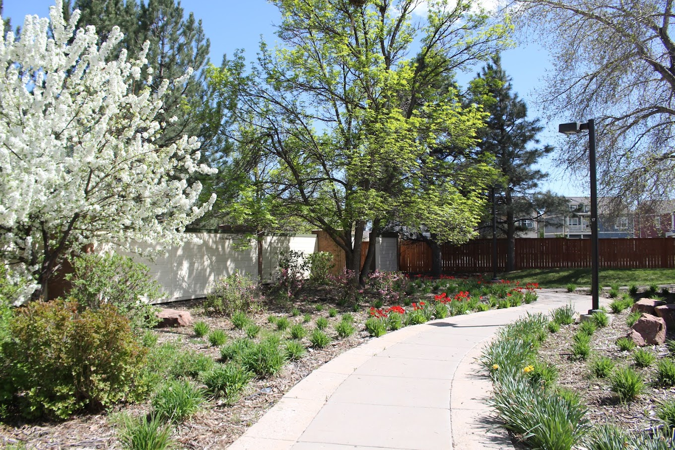 Narconon Colorado facility photo 4