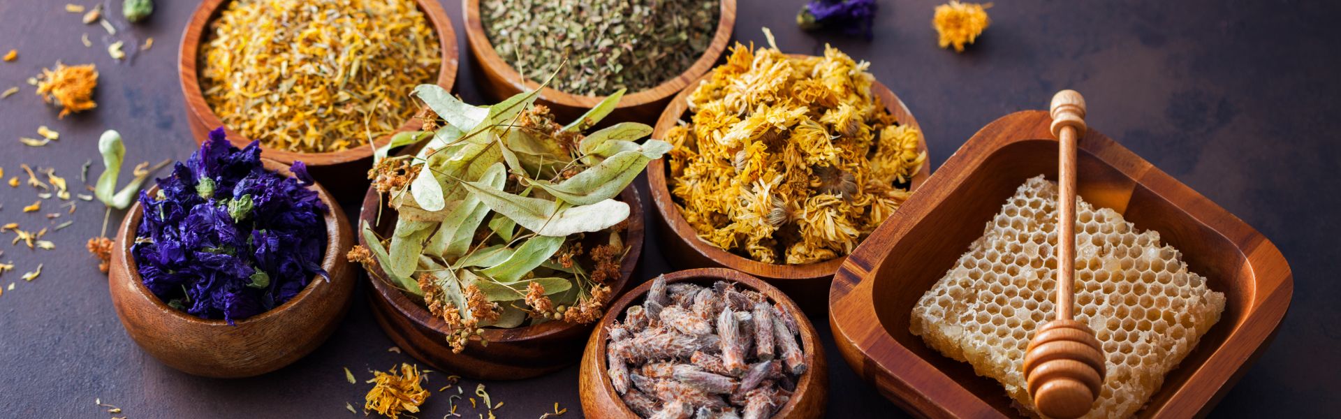 12 Best Naturopathy Centers of 2023 (with Pricing) - Luxury Rehab