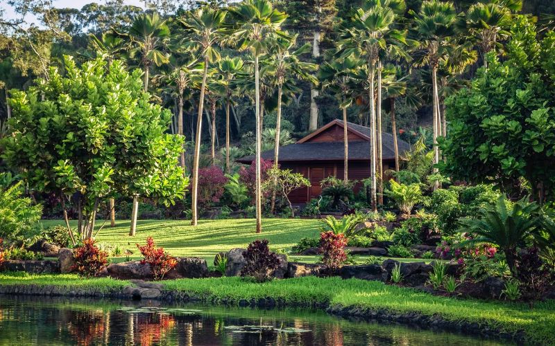 Sensei Lanai facility photo 4