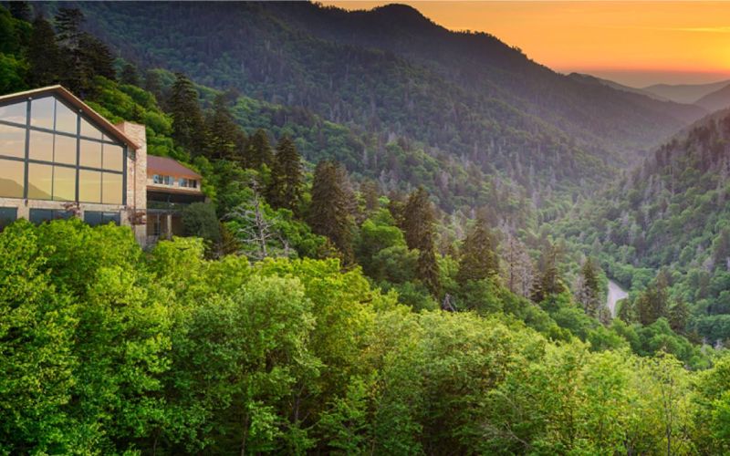 Pasadena Villa Smoky Mountain Lodge Insurance, Amenities & Photos