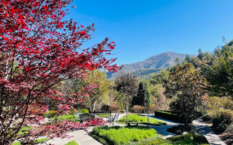Pasadena Villa - Smoky Mountain Lodge facility photo 5