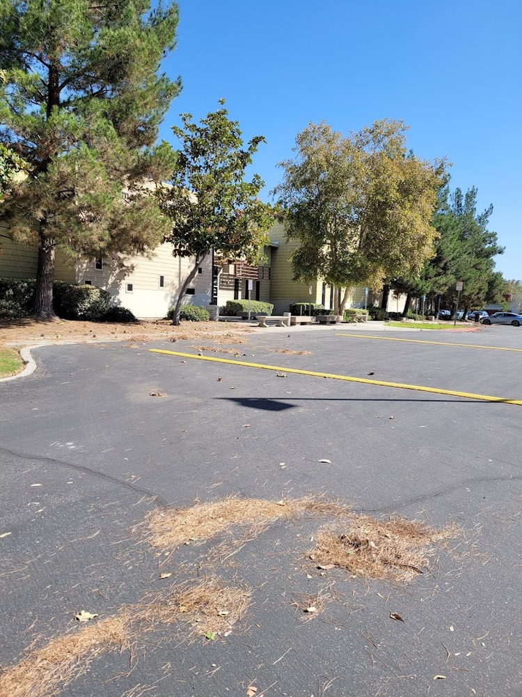 County of San Bernadino Phoenix SUD Recovery Services facility