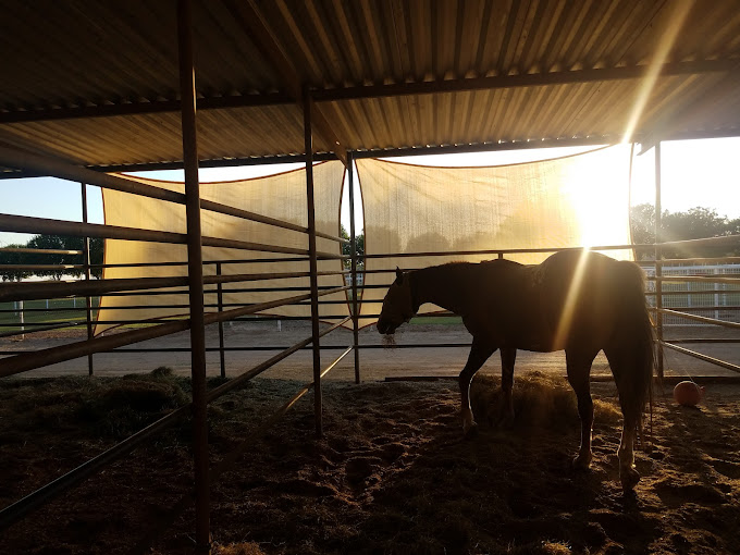 John Volken Academy Ranch facility photo 2