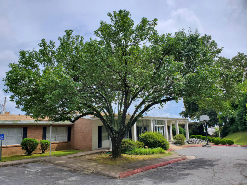 Recovery Centers of Arkansas - Williamsburg facility