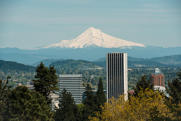 Windhorse Integrative Mental Health - Portland facility photo 4
