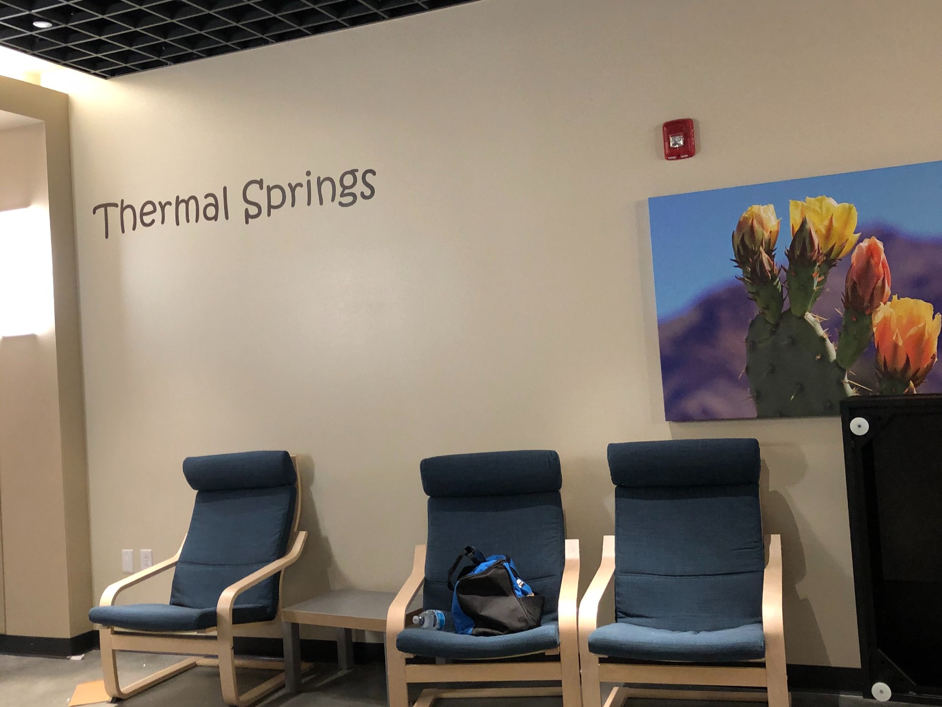 Roy’s Desert Springs Adult Residential Care facility photo 2