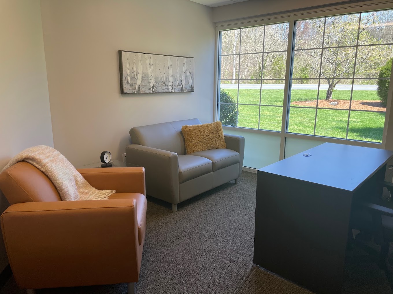 LifeStance Health Concord North Carolina facility photo 2