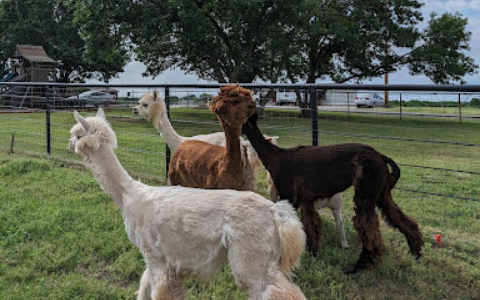 Rob's Ranch Purcell 90 Day Program facility photo 5