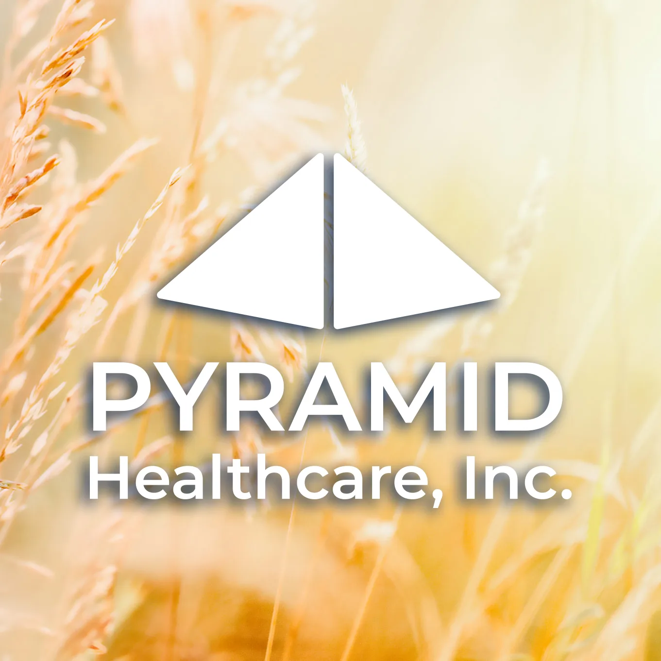 Pyramid Butler Foundations Medical Services facility