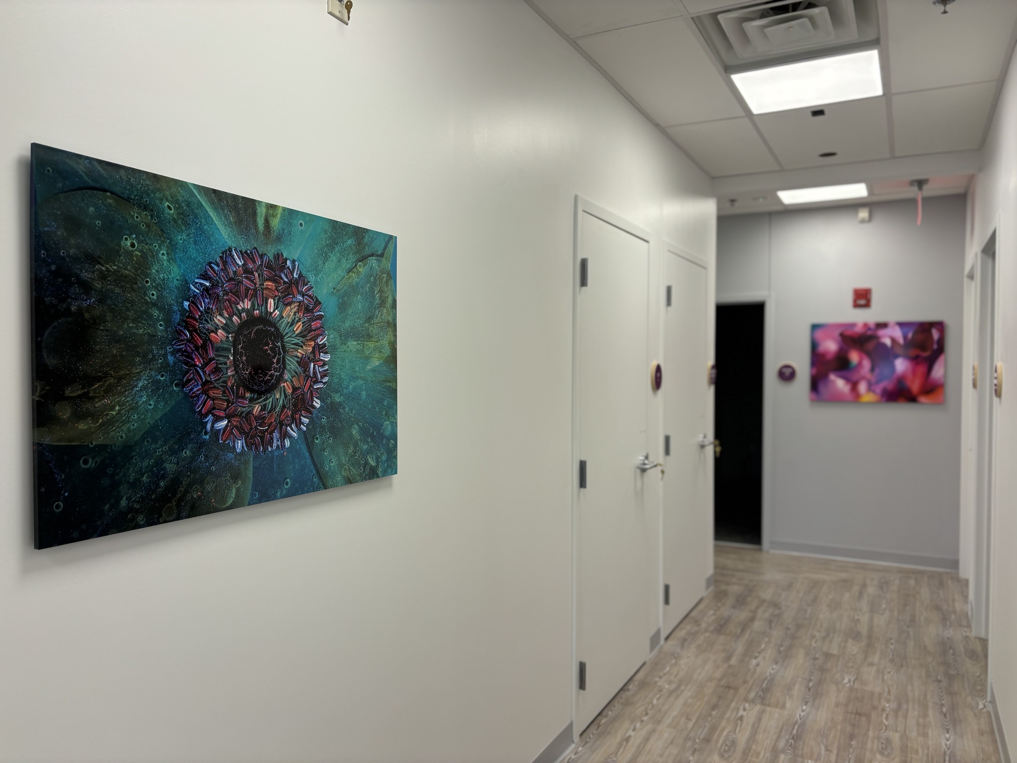 Northeast Health Services - Somerville facility