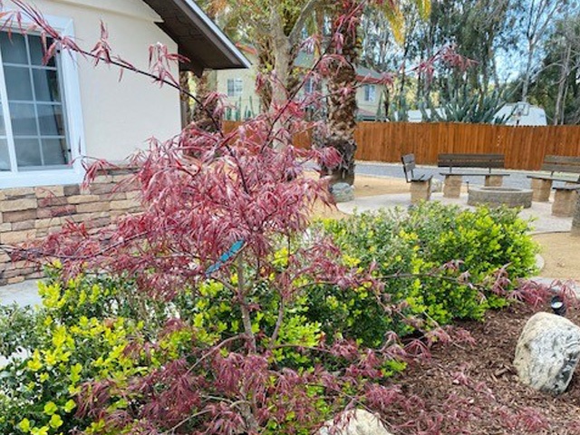 River Stones Child and Adolescent Treatment Mountain View facility photo 3