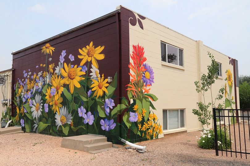 The Clinic for Mental Health and Wellness facility