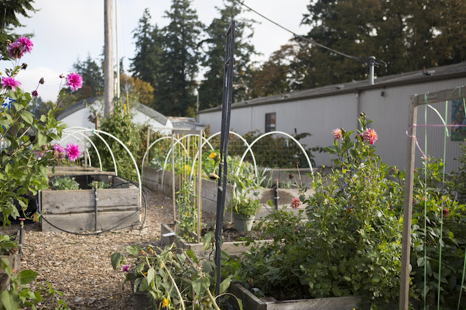 Trillium Family Corvallis facility photo 4