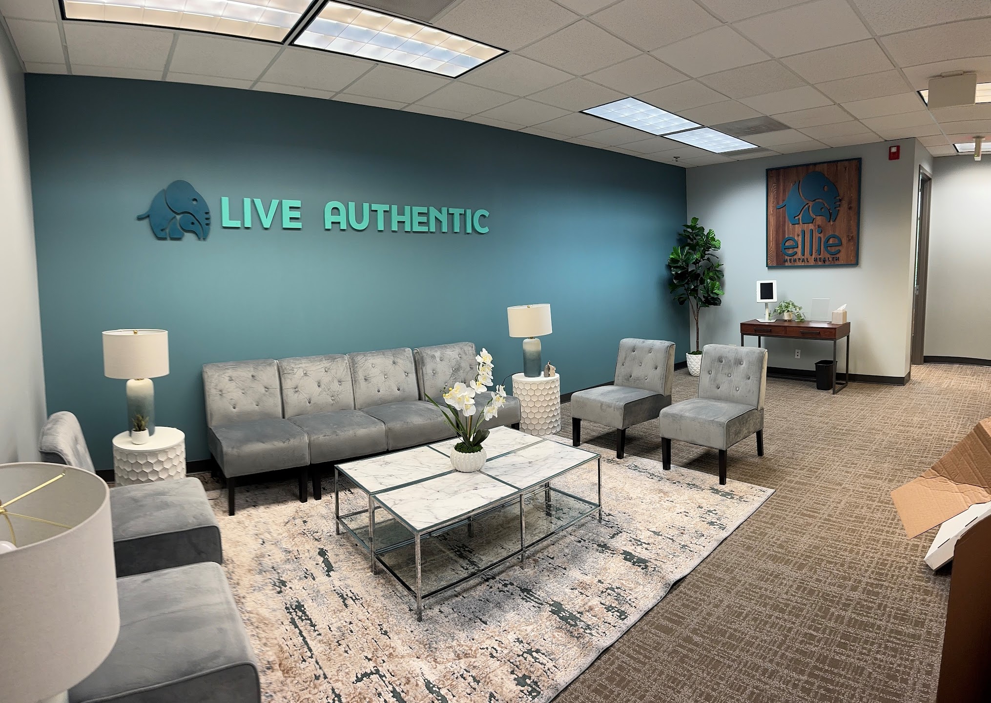 Ellie Mental Health Alpharetta-North Point facility