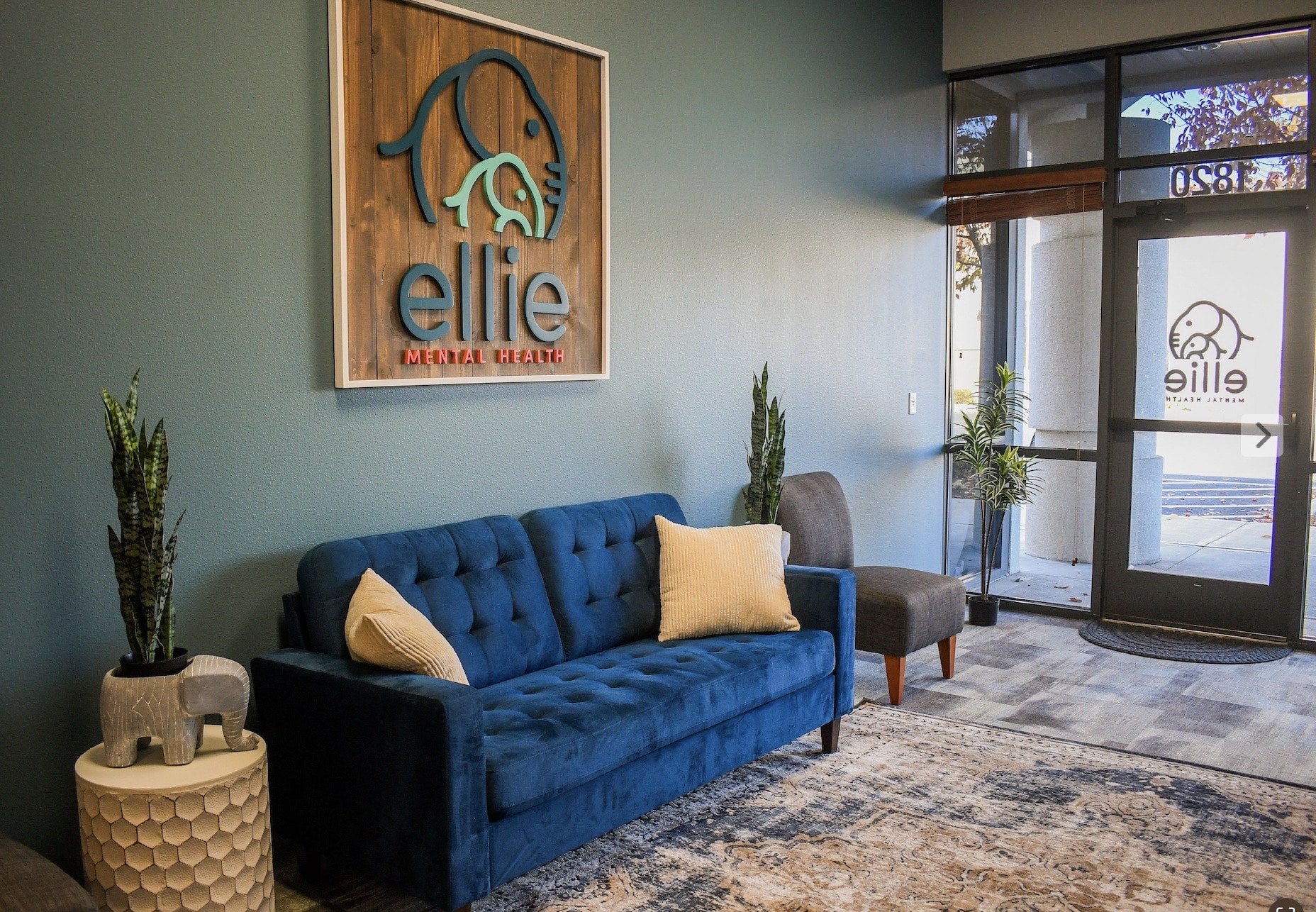 Ellie Mental Health Meridian facility