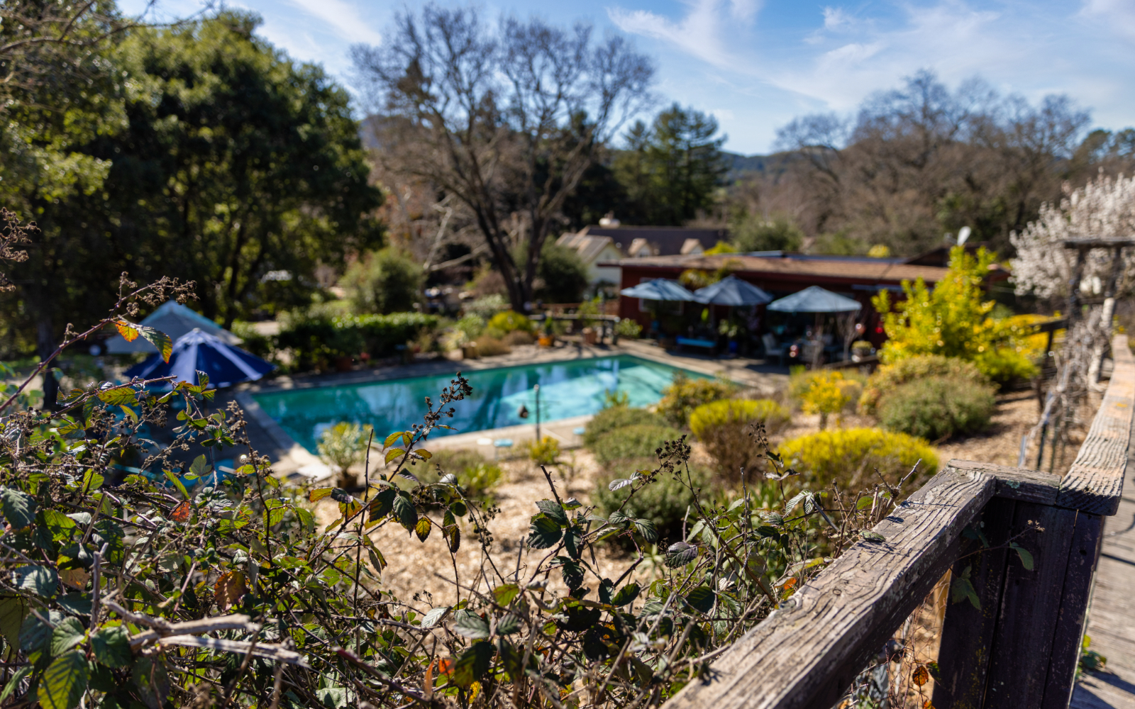 Live Oaks Wellness facility