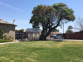 San Diego STRTP facility