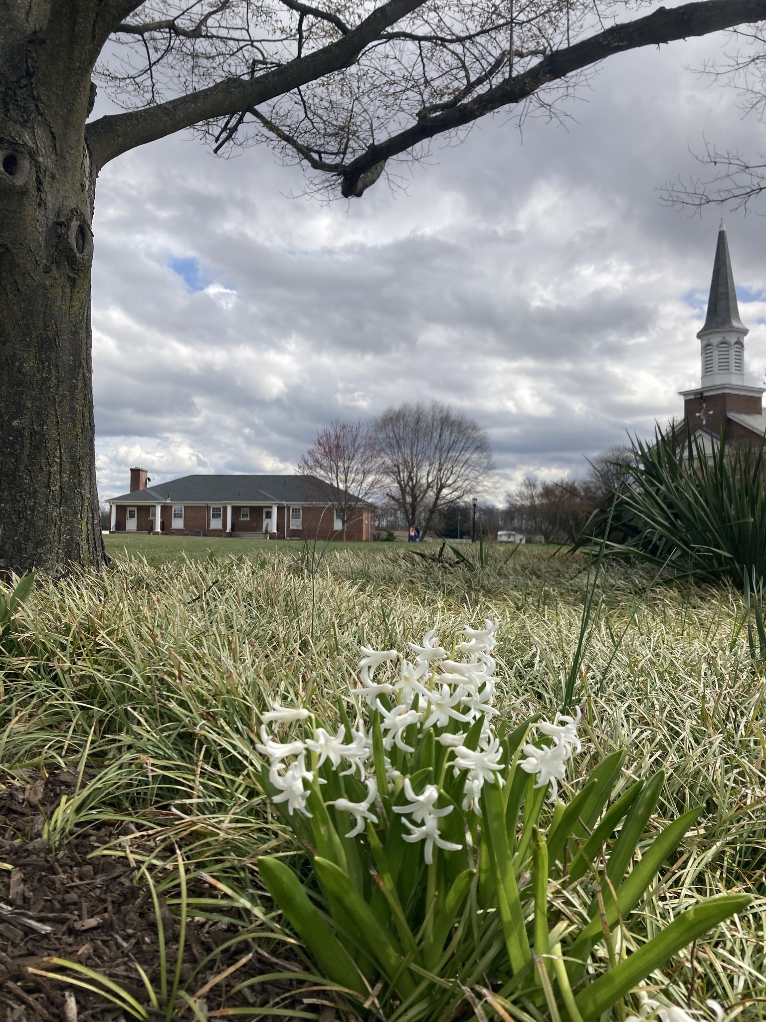 Hoffman Homes for Youth facility