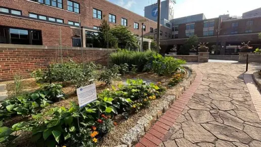 New Wellness Associates - Green Bay facility