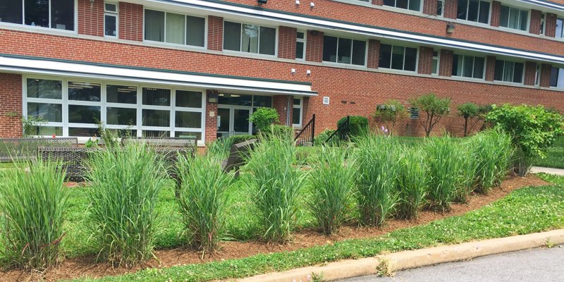 Williams Restoration of Hope Treatment facility