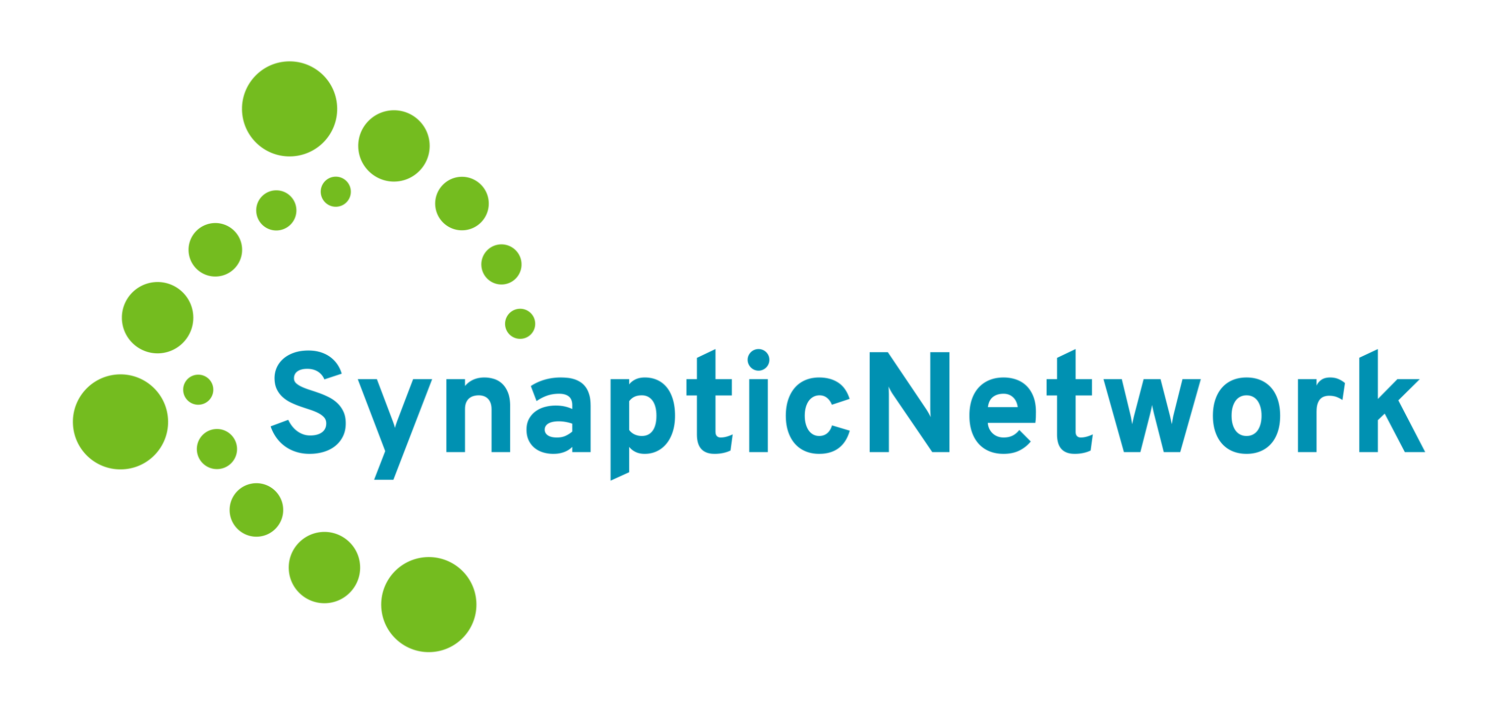 Synaptic Network facility