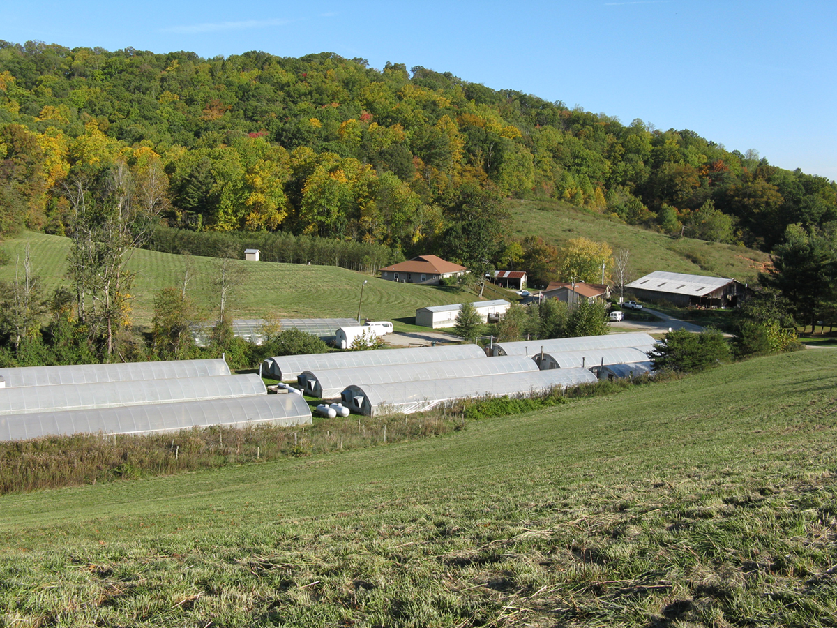 First Step Farm of WNC Mens Facility facility