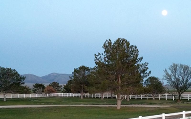 Paradise Creek Recovery Center facility photo 4