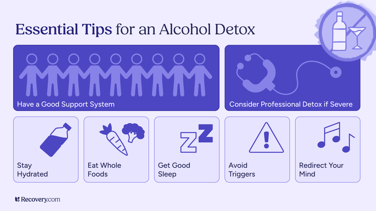 Infographic titled Essential Tips for an Alcohol Detox, showing seven strategies: have a good support system, consider professional detox if severe, stay hydrated, eat whole foods, get good sleep, avoid triggers, and redirect your mind. Each tip is paired with a simple icon, and the top-right corner features an alcohol-related graphic.