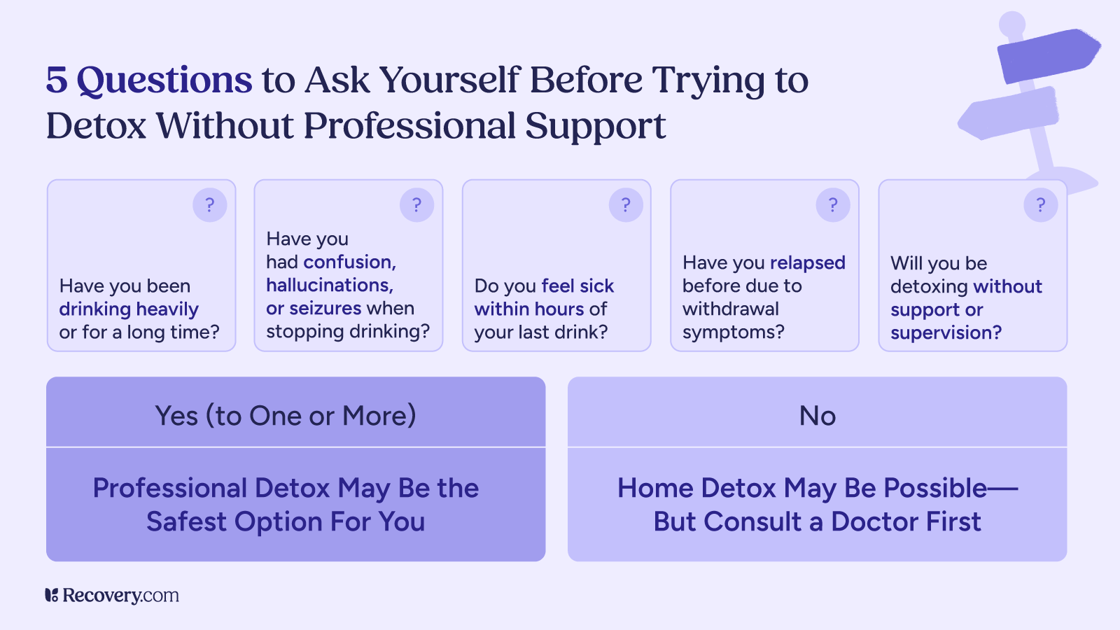 Infographic titled 5 Questions to Ask Yourself Before Trying to Detox Without Professional Support. It includes questions about heavy drinking, withdrawal symptoms, past relapses, and detoxing without supervision. Depending on the answers, the image advises either professional detox or consulting a doctor for home detox.