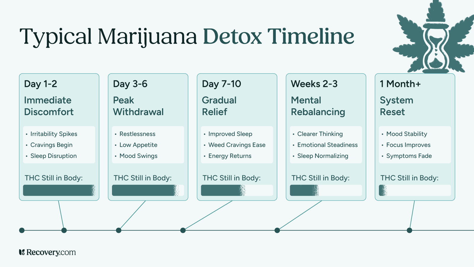 Typical marijuana detox timeline showing five detox phases: Day 1–2 (Immediate Discomfort: irritability, cravings, sleep issues), Day 3–6 (Peak Withdrawal: restlessness, low appetite, mood swings), Day 7–10 (Gradual Relief: improved sleep, reduced cravings), Weeks 2–3 (Mental Rebalancing: clearer thinking, emotional steadiness), and 1 Month+ (System Reset: mood stability, improved focus). THC levels in the body gradually decrease over time.