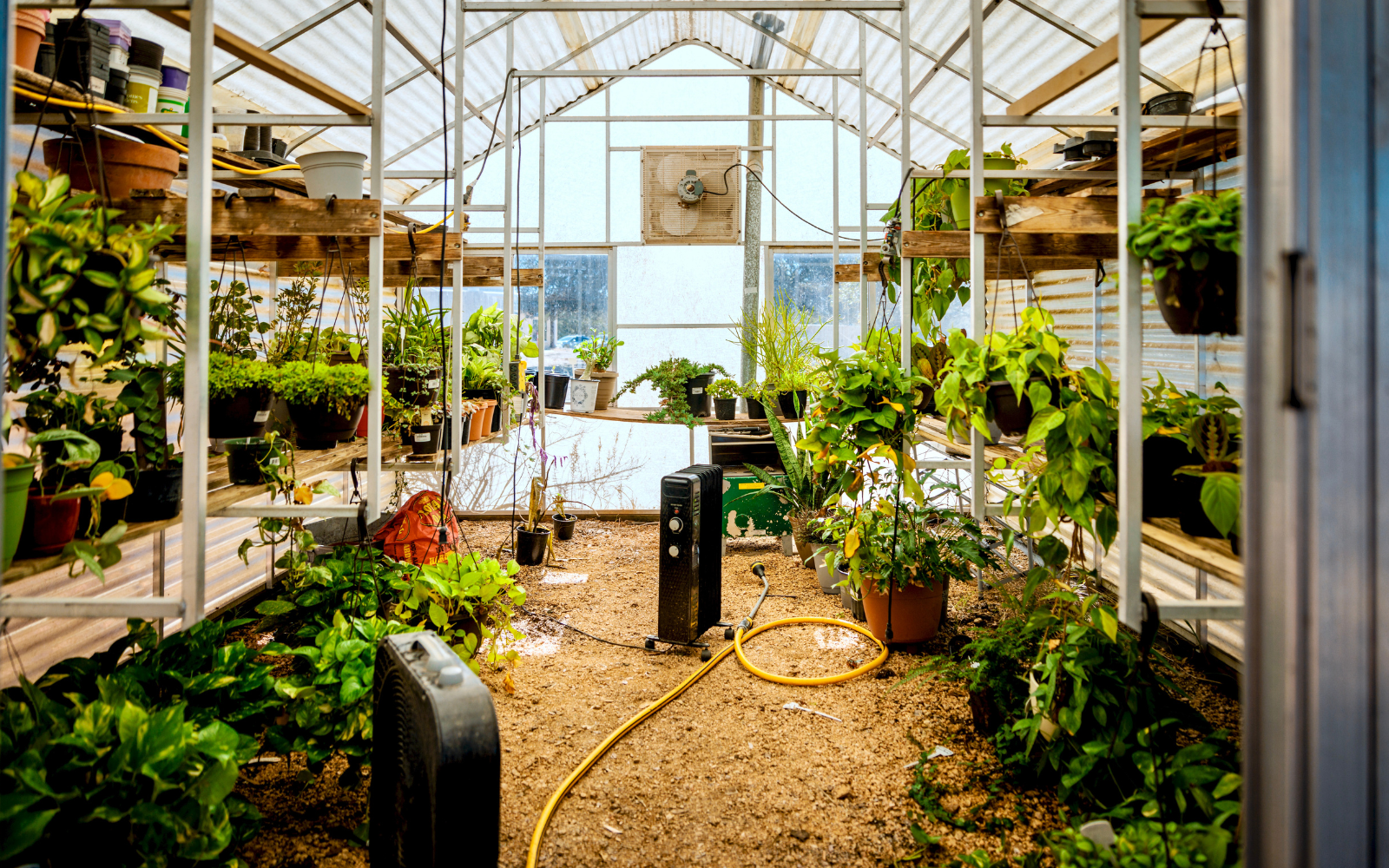 Ripple Ranch Recovery facility photo 5