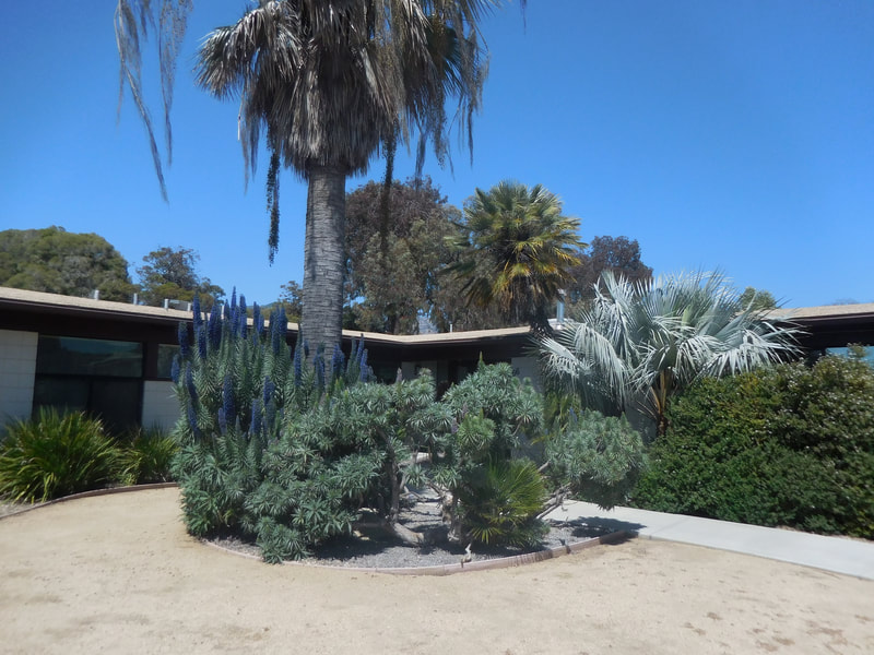 Crestwood Santa Barbara Crisis Residential facility photo 2