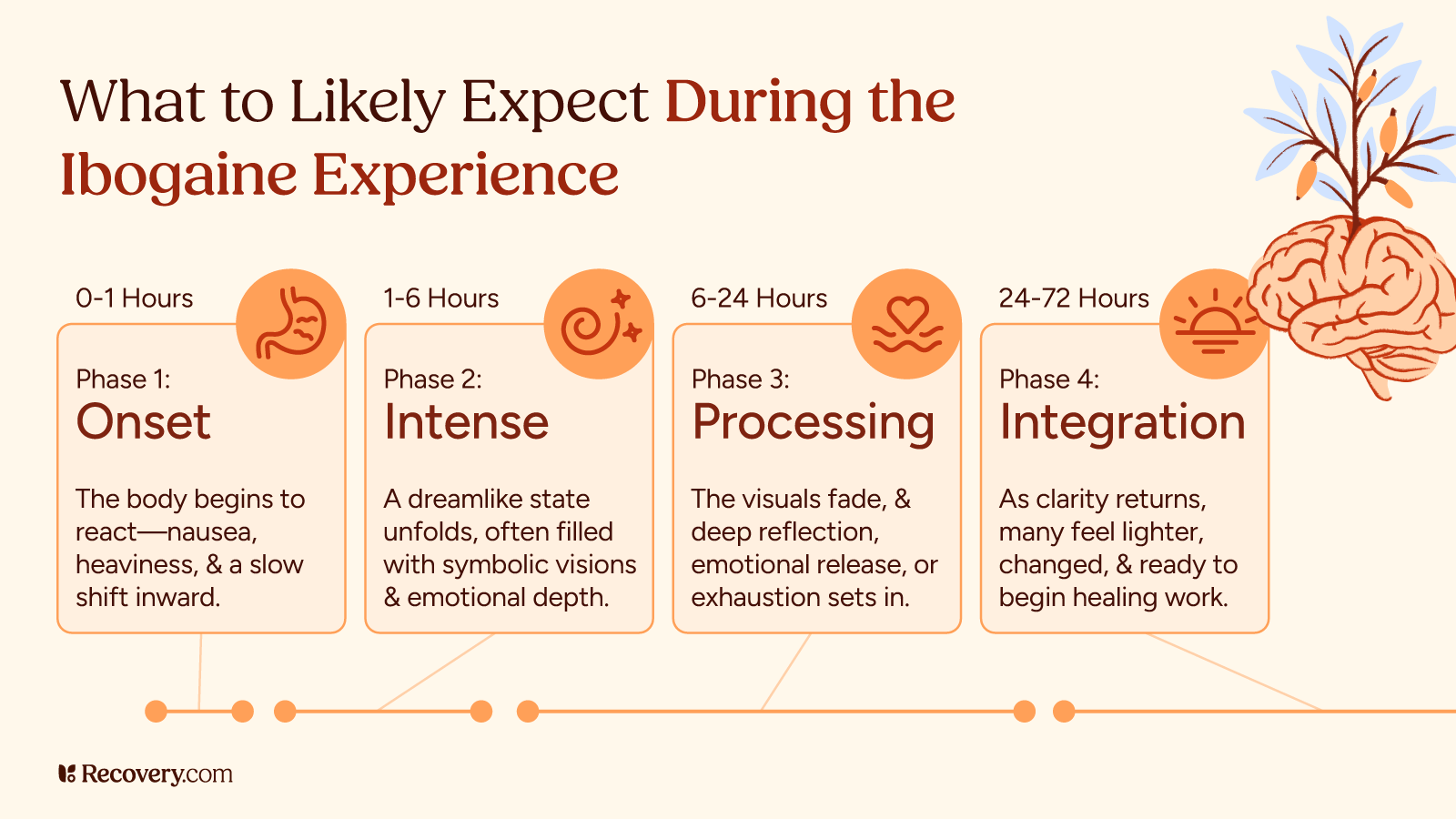 Infographic titled “What to Likely Expect During the Ibogaine Experience,” outlining four phases over 72 hours: Phase 1 (Onset, 0–1 hours) with nausea and heaviness; Phase 2 (Intense, 1–6 hours) with dreamlike visions and emotional depth; Phase 3 (Processing, 6–24 hours) with reflection and emotional release; and Phase 4 (Integration, 24–72 hours) as clarity returns and healing begins. Includes icons and brain imagery