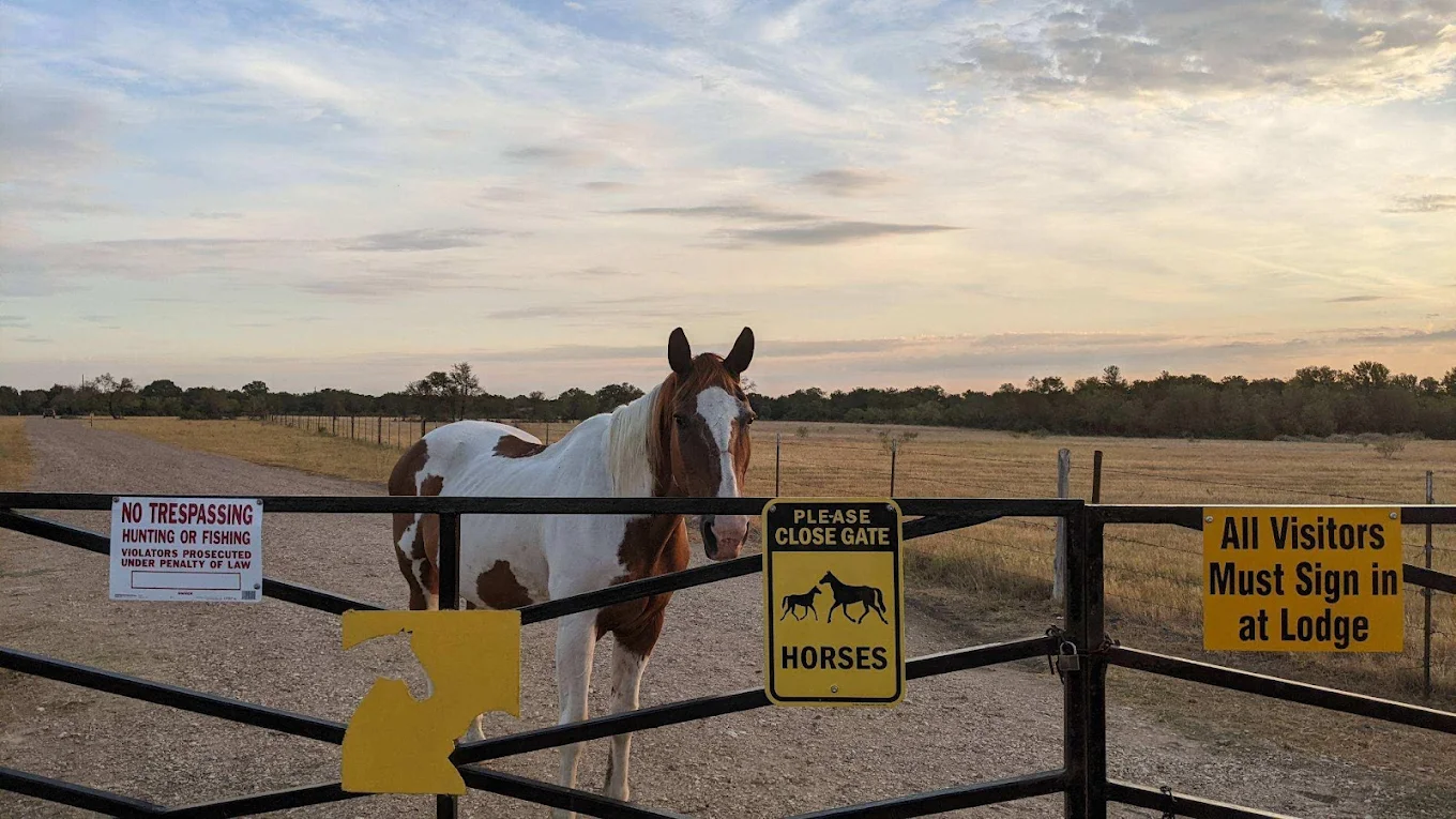 Resolution Ranch Academy facility photo 3