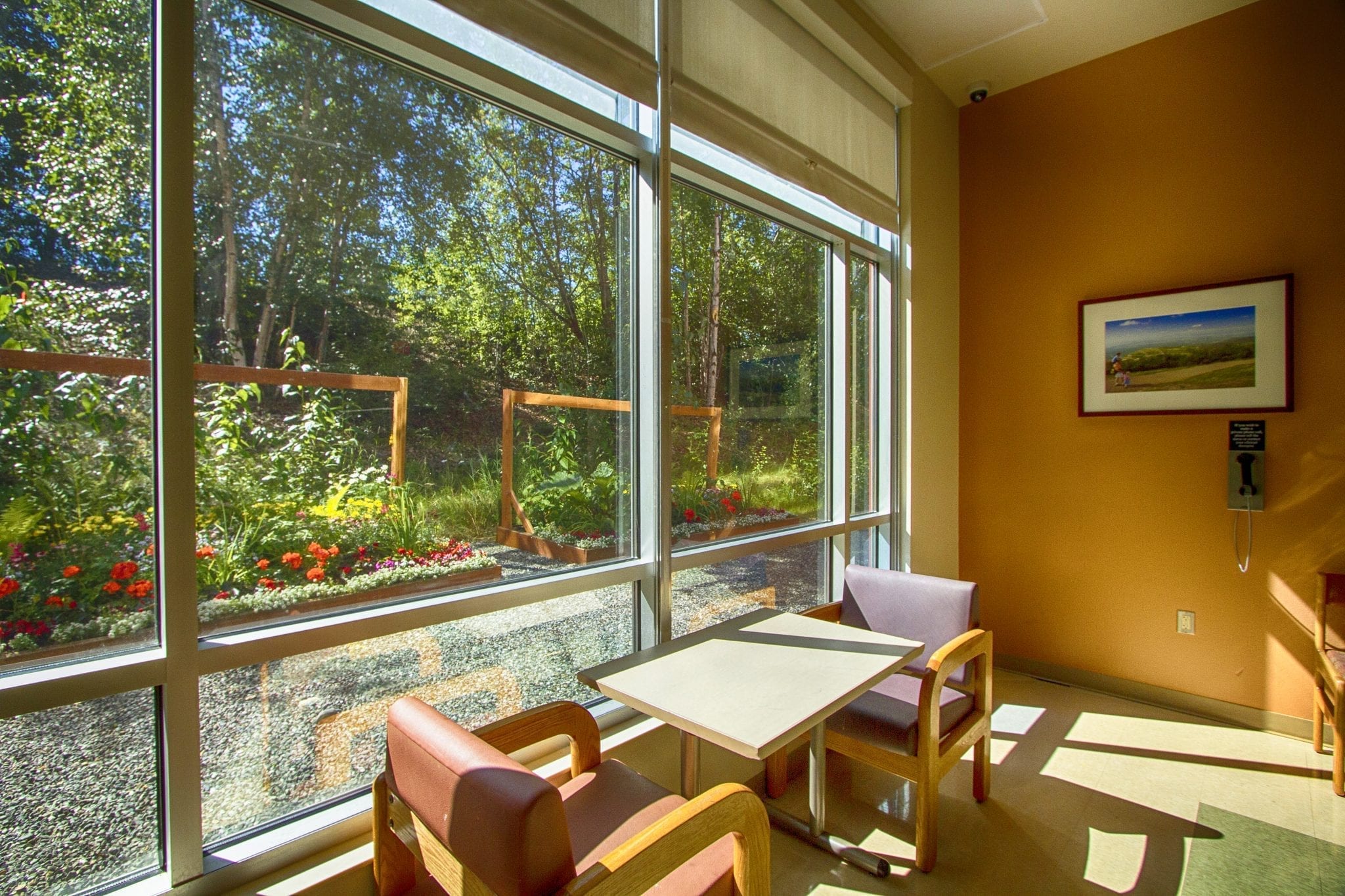 North Star Residential Palmer Campus facility photo 2