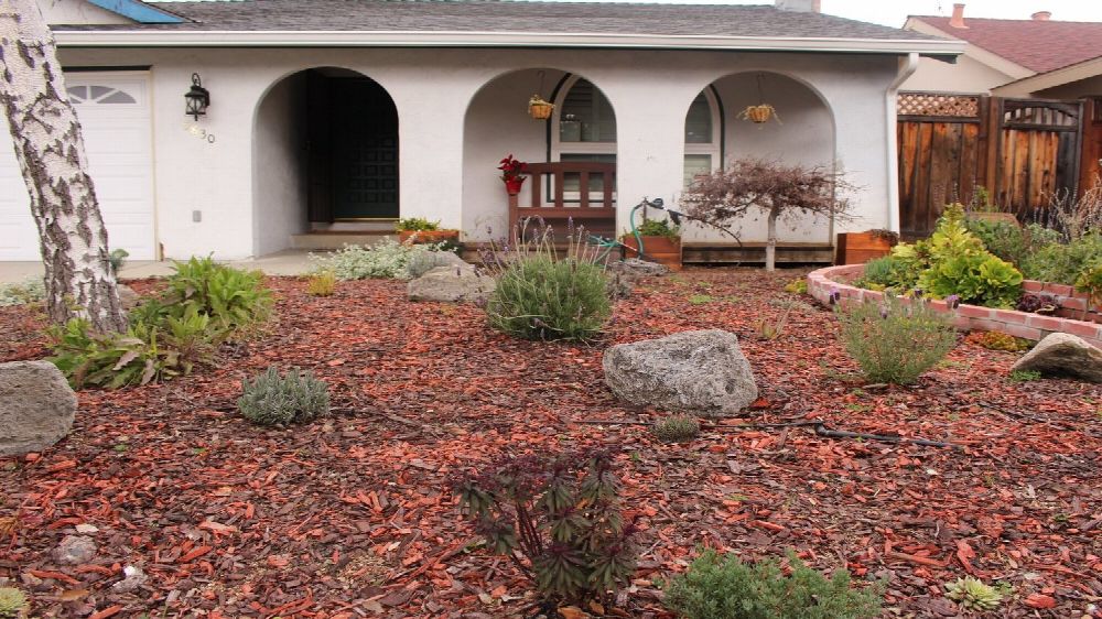 Serenity Gardens Inc. facility