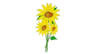 Sunflower Substance Abuse Recovery Services facility