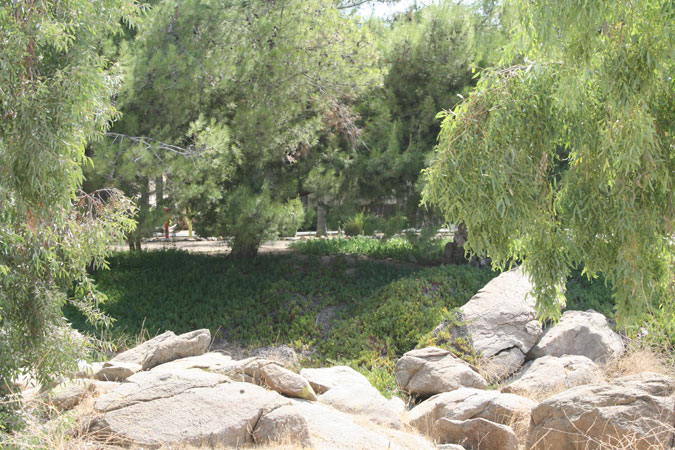 MFI Recovery Center - Woodcrest Facility facility