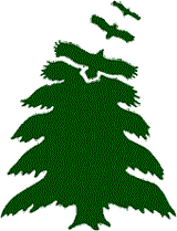 Evergreen Recovery Centers- Women's Residential & Outpatient facility