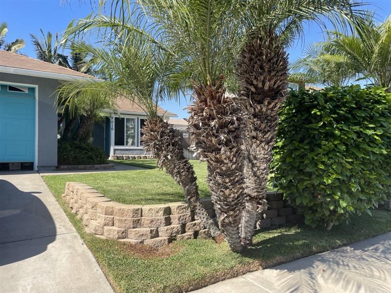 Javi's Nest facility