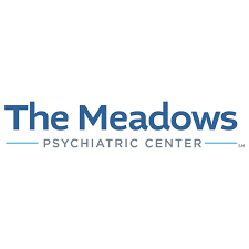 The Meadows Psychiatric Center facility photo 2